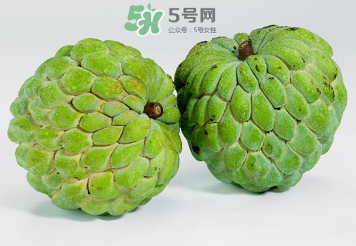 刺果番荔枝怎么吃？釋迦和刺果番荔枝區(qū)別