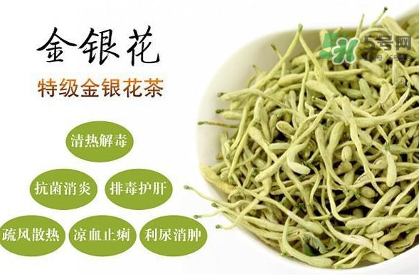 金銀花茶是去火的嗎？金銀花茶有什么功效與作用