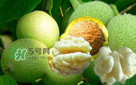 青皮核桃?guī)捉锍鲆唤锔珊颂遥壳嗥ず颂沂裁磿r(shí)候成熟