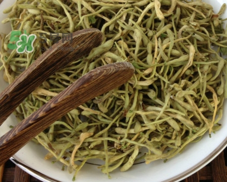 金銀花茶苦嗎？喝金銀花茶需要注意什么