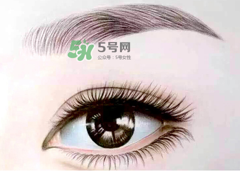 三伏天能紋眉嗎？三伏天紋眉毛好嗎？