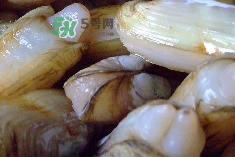 蟶子怎么抓？孕婦能吃蟶子嗎