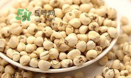 川貝母可以直接吃嗎？川貝母可以泡水喝嗎