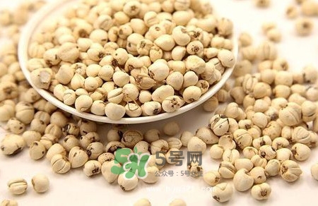 川貝母是苦的嗎？川貝母是涼性的嗎