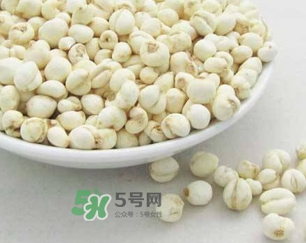 川貝母是川貝嗎？川貝母是酸性還是堿性？