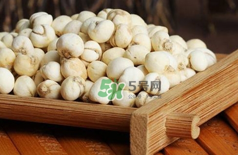 川貝母可以直接吃嗎？川貝母可以泡水喝嗎