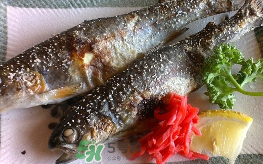 鱒魚是三文魚嗎？鱒魚是什么魚