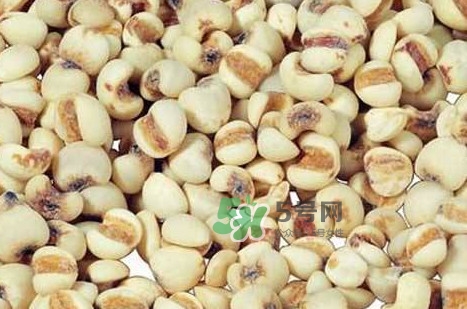 川貝母可以直接吃嗎？川貝母可以泡水喝嗎