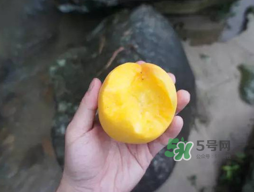 炎陵黃桃什么時候成熟？炎陵黃桃好吃嗎？