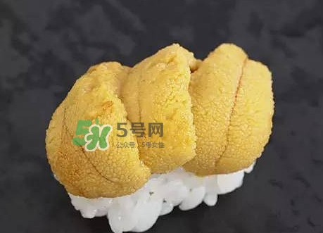 海膽怎么處理？海膽可以生吃嗎？