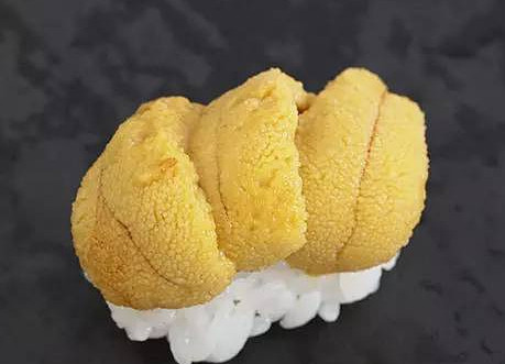 活海膽怎么殺？海膽怎么開殼？