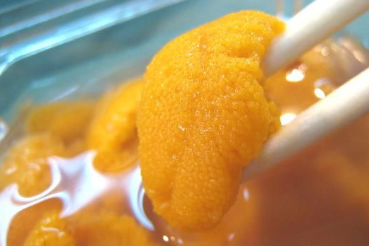 海膽什么季節(jié)最肥？海膽什么時(shí)候最肥