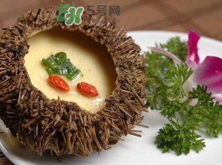 海膽死了還能吃嗎？海膽不能跟什么一起吃