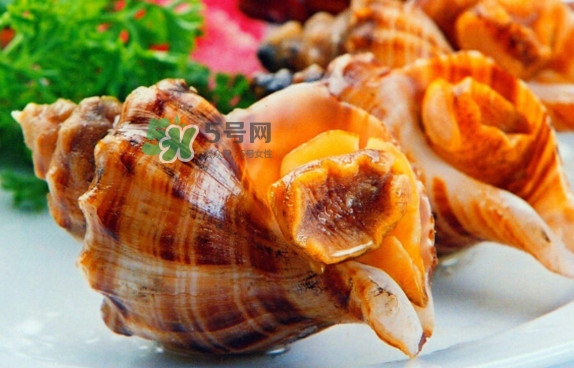 為什么海螺殼里面會(huì)有聲音？海螺和韭菜能不能一起吃