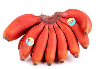 紅香蕉是哪里的特產(chǎn)？紅香蕉什么時候成熟？