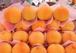 錦繡黃桃什么時候成熟？錦繡黃桃?guī)自鲁墒欤?><p><strong>錦繡黃桃什么時候成熟？錦繡黃桃?guī)自鲁墒欤?/strong></p></a></li> <li><a href=