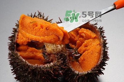 海膽怎么處理？海膽可以生吃嗎？
