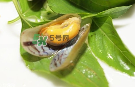 薄殼怎么讀？薄殼怎么洗干凈