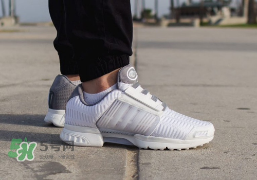 adidas climacool los angeles洛杉磯別注款怎么買_在哪買？