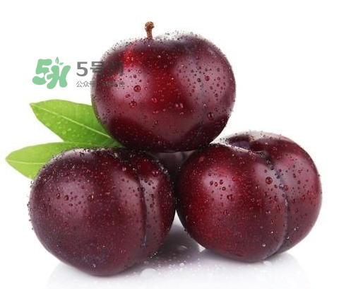 黑布林可以泡酒嗎？黑布林怎么吃？