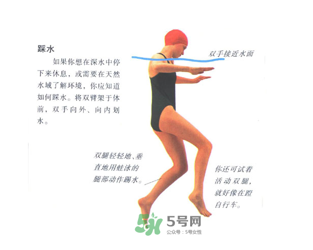 游泳怎么踩水？游泳踩水技巧圖解