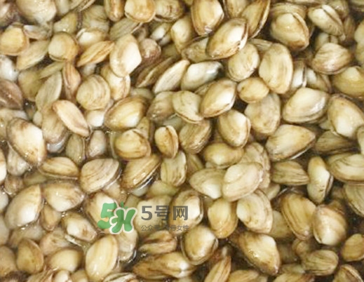 海瓜子怎么做好吃？海瓜子怎么清洗