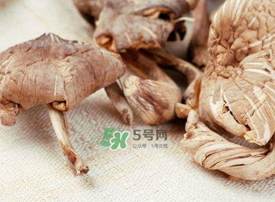 雞樅菌怎么讀？雞樅菌怎么做好吃？