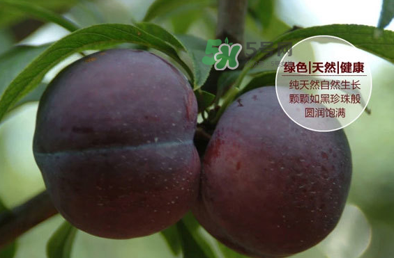 黑布林什么時(shí)候吃最好？黑布林什么人不能吃？