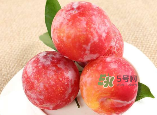 紅布林孕婦可以吃嗎？孕婦可以吃紅布林嗎？