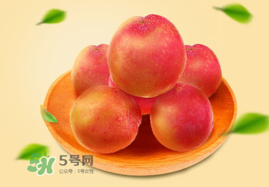 紅布林孕婦可以吃嗎？孕婦可以吃紅布林嗎？