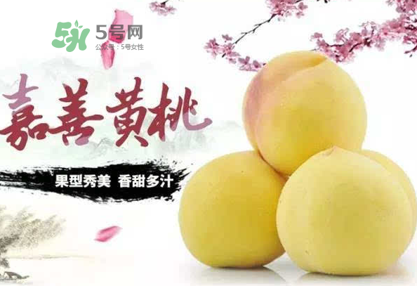 嘉善黃桃多少錢一斤？嘉善黃桃的上市時(shí)間