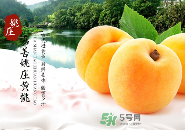 嘉善黃桃多少錢一斤？嘉善黃桃的上市時(shí)間