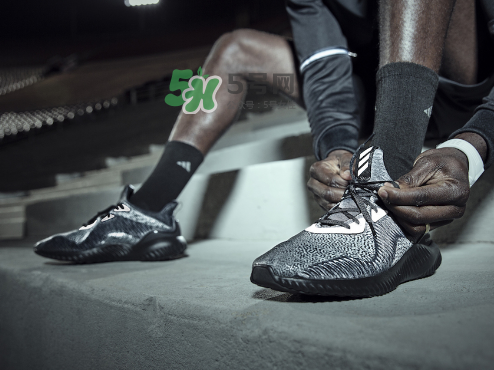 adidas alphabounce reflective阿爾法小椰子跑鞋夜光版多少錢？