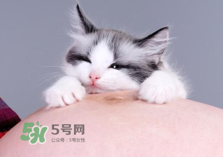 孕婦被貓抓了怎么辦？孕婦被貓抓傷了對(duì)寶寶有什么影響？
