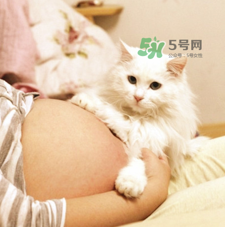 孕婦被貓抓了怎么辦？孕婦被貓抓傷了對(duì)寶寶有什么影響？