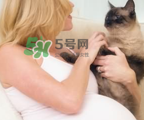 孕婦被貓抓了怎么辦？孕婦被貓抓傷了對(duì)寶寶有什么影響？