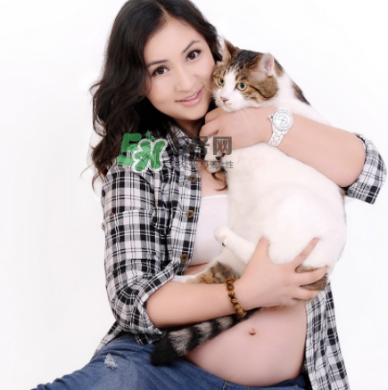 孕婦被貓抓了怎么辦？孕婦被貓抓傷了對(duì)寶寶有什么影響？