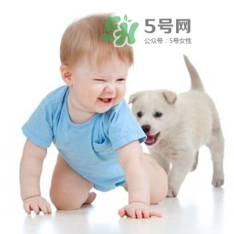 寵物對(duì)嬰兒的影響 寵物對(duì)嬰兒的危害有哪些？