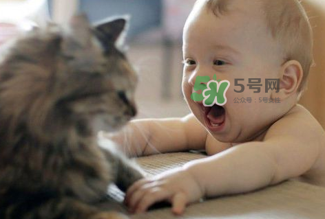 嬰兒被貓抓了怎么辦？嬰兒被貓咪咬了怎么辦？