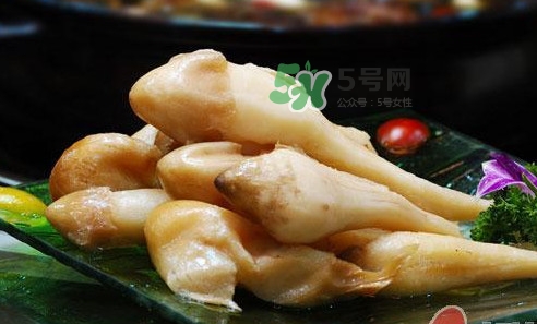 雞樅菌什么時候有？雞樅菌生長在什么地方