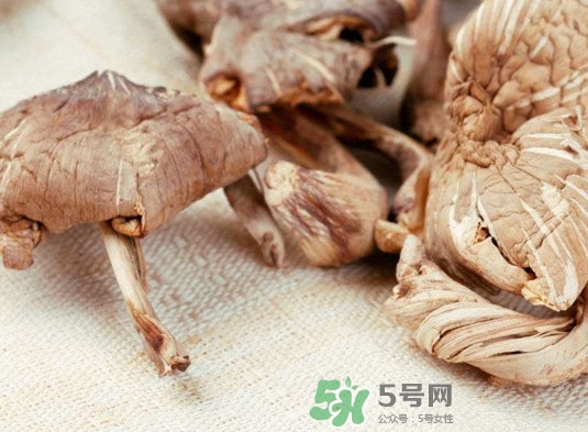 雞樅菌有毒嗎？雞樅菌不能和什么一起吃？