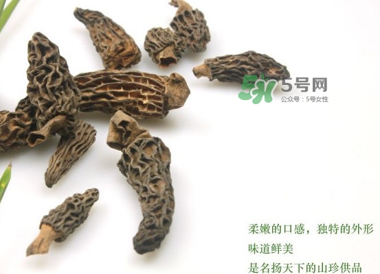 野生羊肚菌多少錢一斤？干羊肚菌多少錢一斤