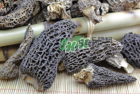 羊肚菌最大產(chǎn)地是哪兒？羊肚菌怎么泡發(fā)