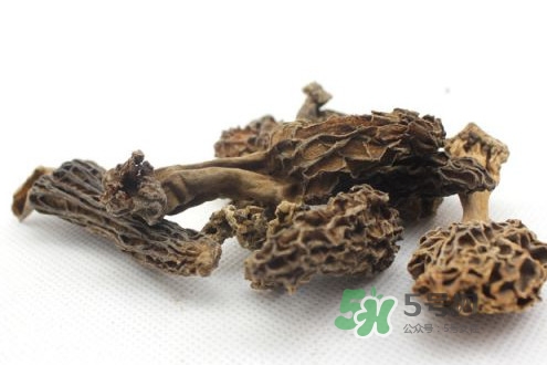 羊肚菌能治什么??？羊肚菌能冷凍保鮮嗎