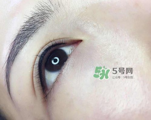 美瞳線有幾種款式？美瞳線有小尾巴嗎？