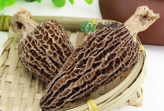 羊肚菌為什么那么貴？羊肚菌為什么這么貴