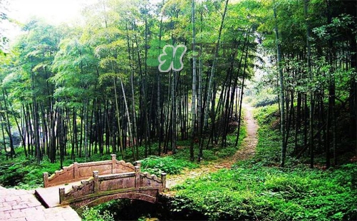 夏天去哪里旅游最好？夏天旅游哪里涼快？