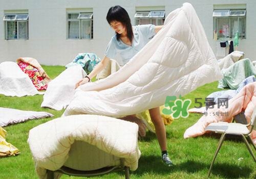 三伏天能曬被子嗎？三伏天曬被子好嗎？