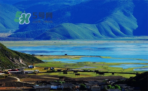 夏天去哪里旅游最好？夏天旅游哪里涼快？
