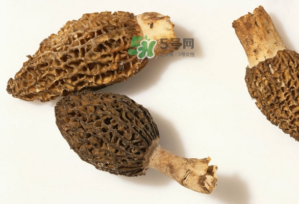 羊肚菌可以泡茶喝嗎？羊肚菌可以生吃嗎